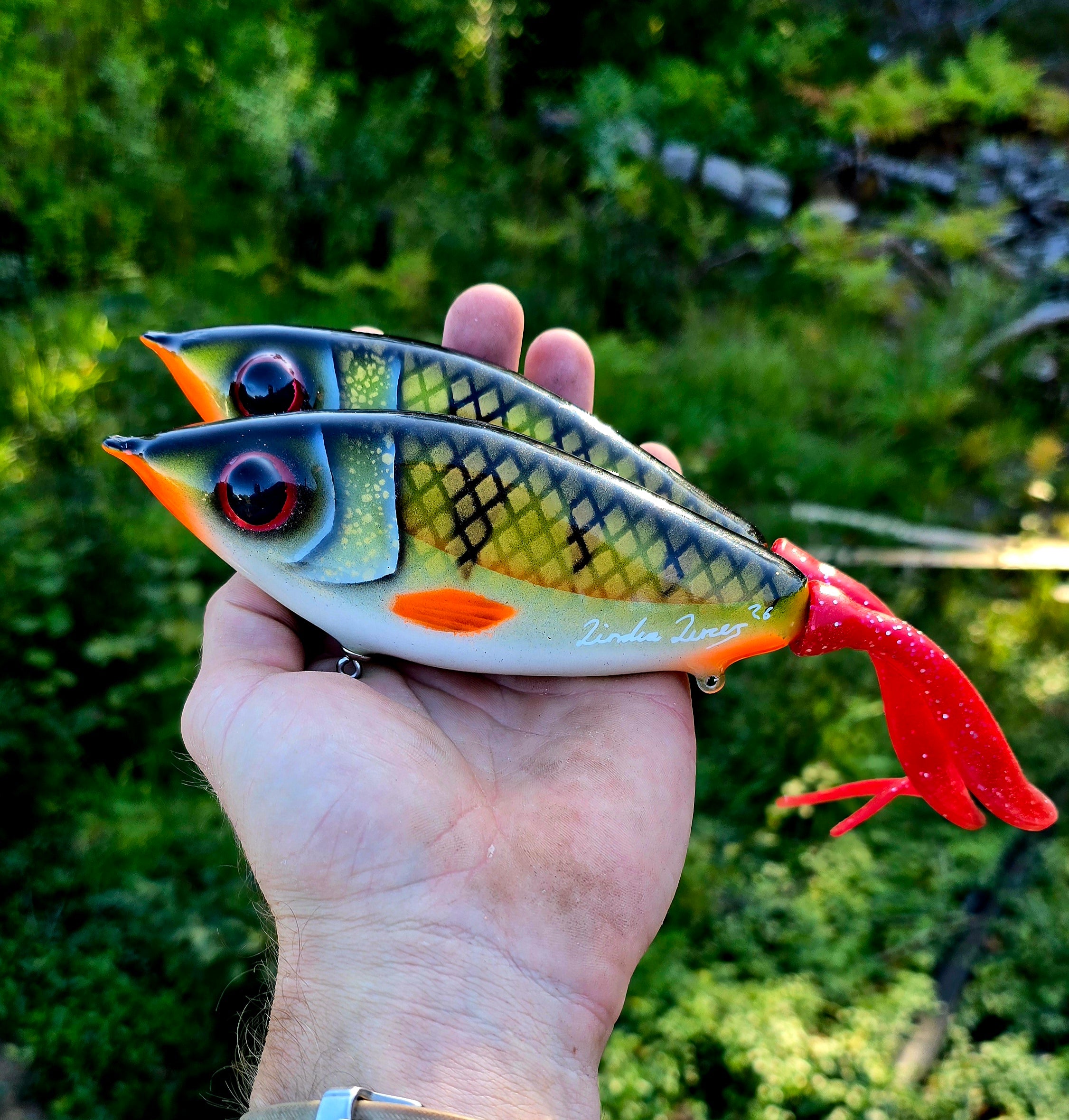 JerkTail Real perch