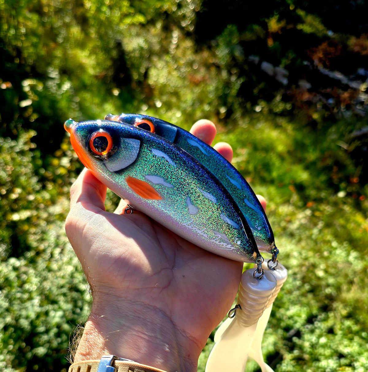 Bigtail Mother of pike